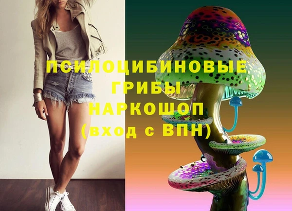 не бодяженный Богданович