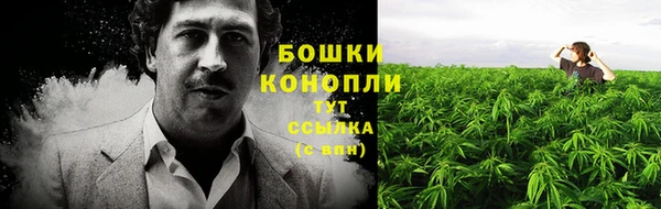 не бодяженный Богданович