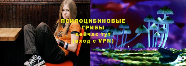 не бодяженный Богданович