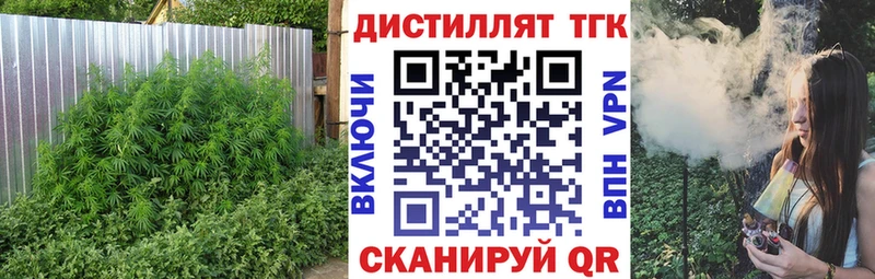 ТГК вейп с тгк  продажа наркотиков  Бердск 